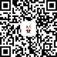 北大青鸟小青微信